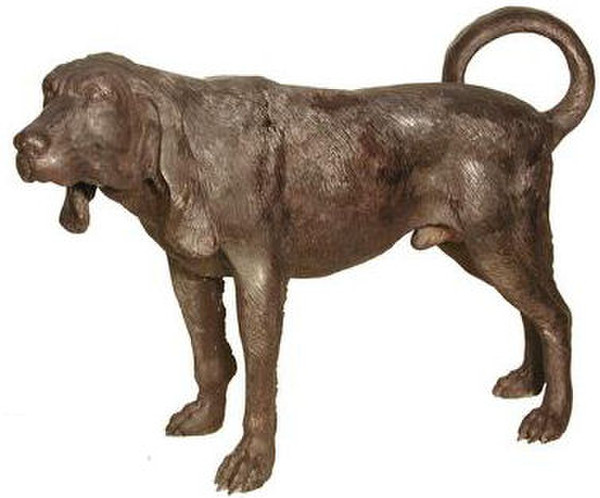 Life size bronze Labrador standing at attention with tail curled upward